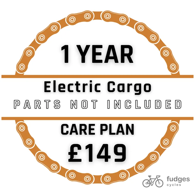 Care Plan for Electric Cargo Bike