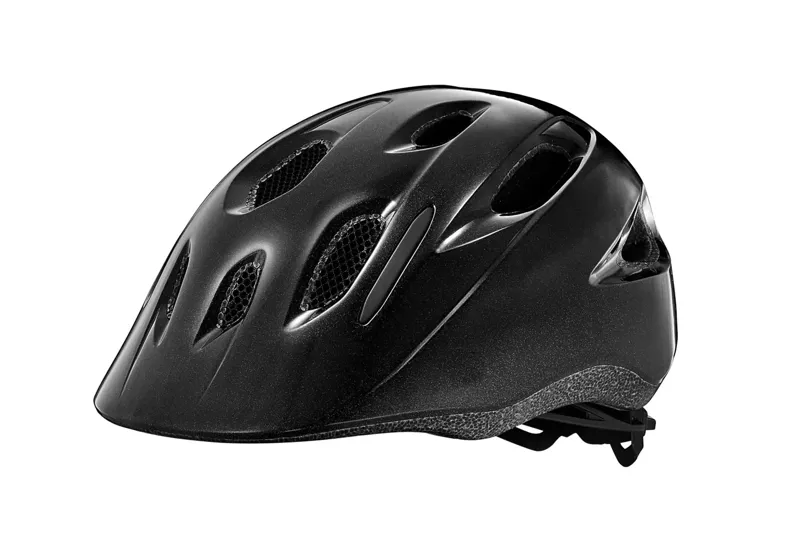 Giant Hoot Arx Gloss Metallic Black Helmet