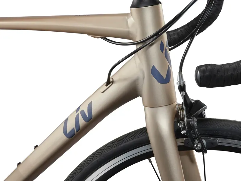 Liv Avail 2 - Sandshell-2