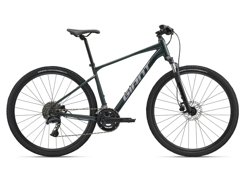 Giant Roam 2 - L Asphalt Green