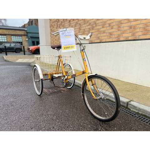 Pashley trike top