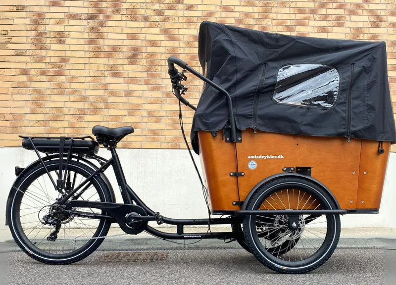 AM Harmony E Cargo Wood-1