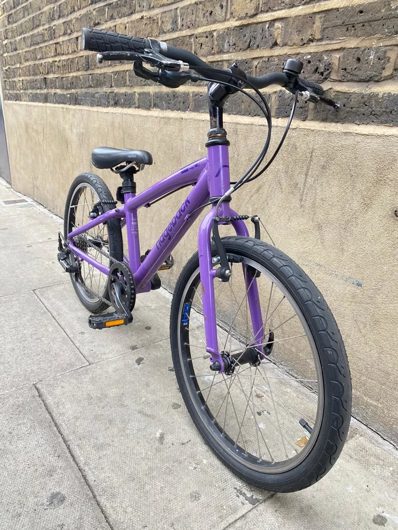 Refurbished Ridgeback Dimension 20 Inich Purple-1