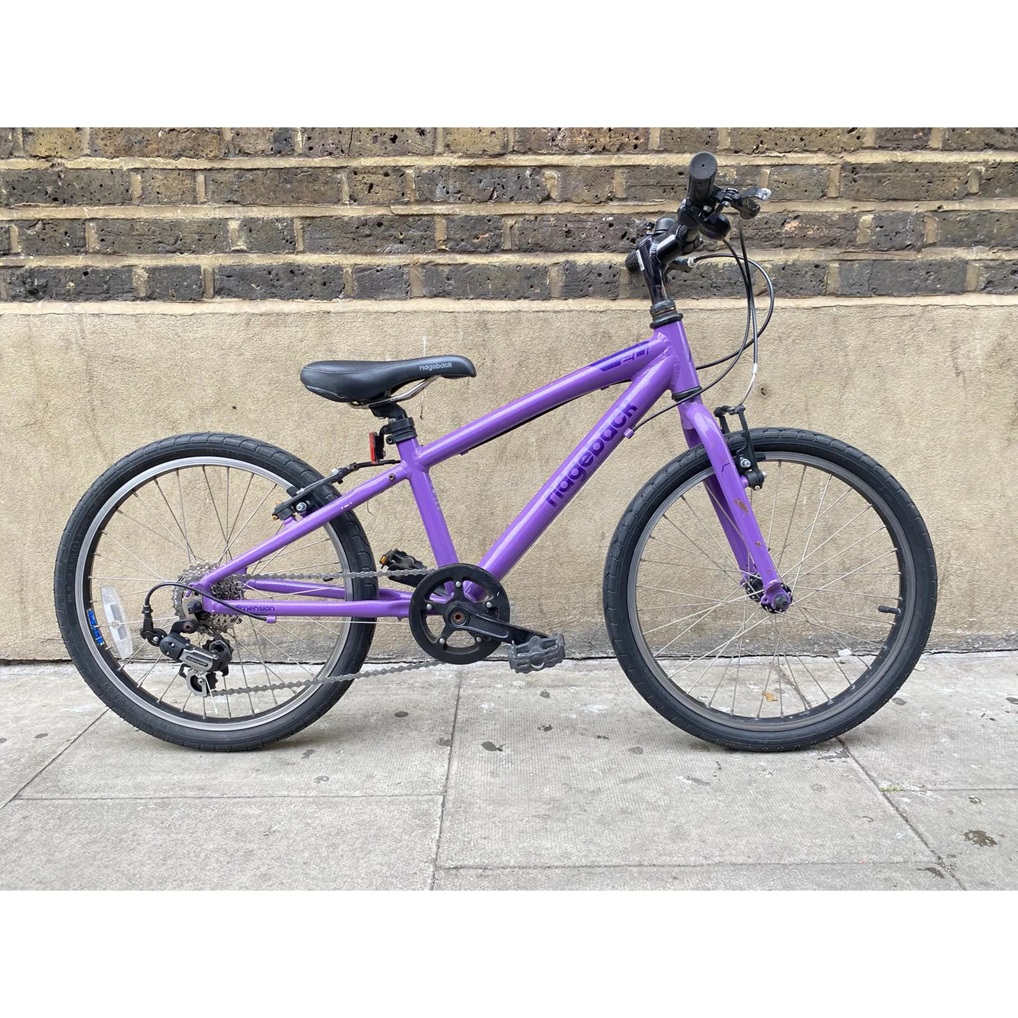 Ridgeback dimension 20 shop