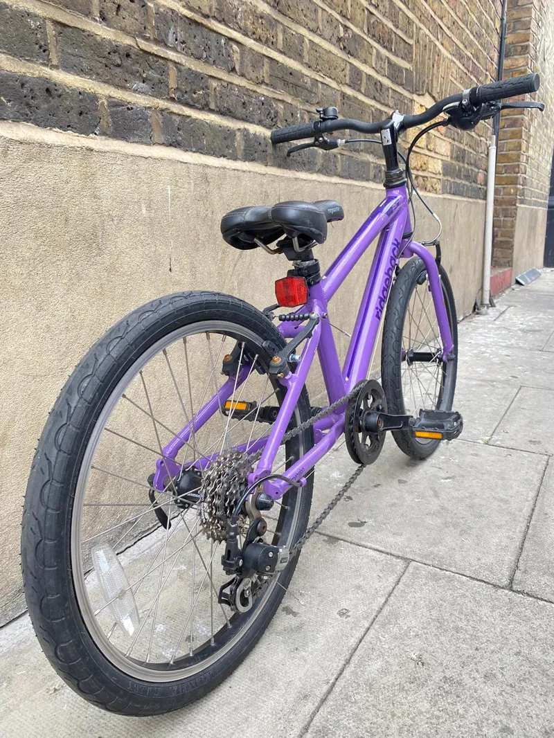 Refurbished Ridgeback Dimension 20 Inich Purple-4