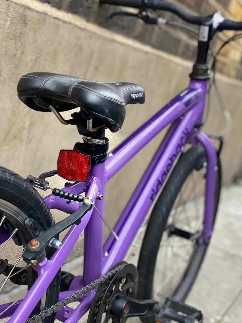 Refurbished Ridgeback Dimension 20 Inich Purple-5