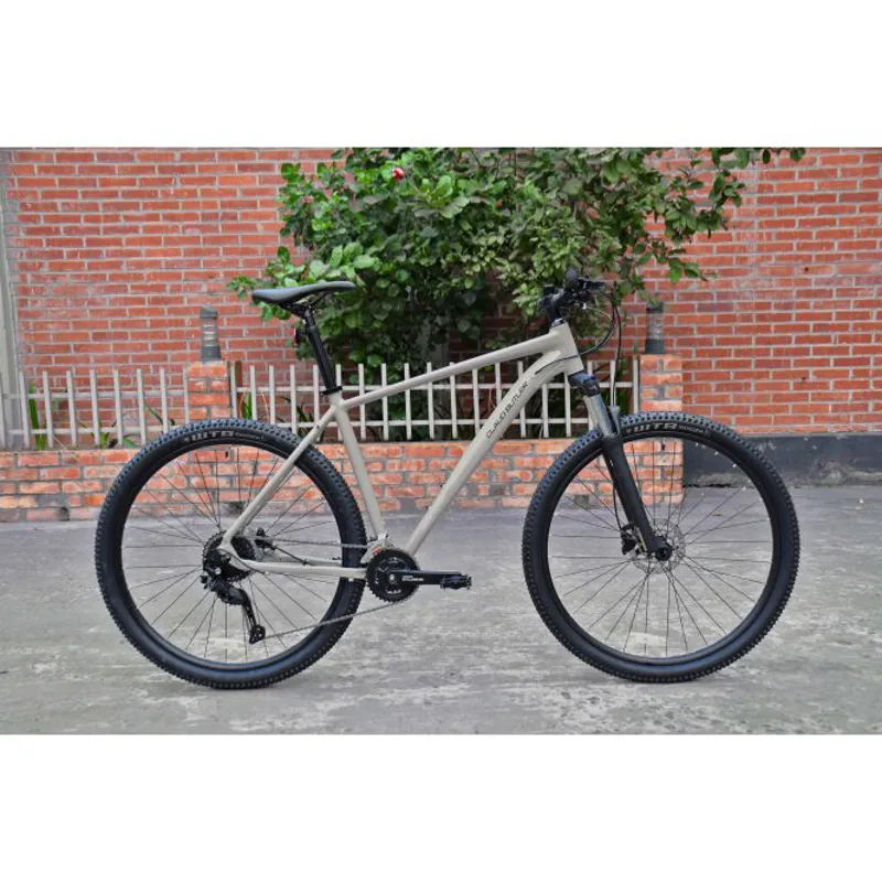 Claud Butler Alpina 1.0 - Grey-9