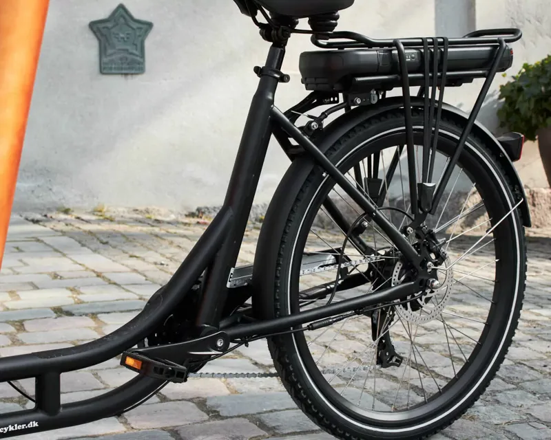 AM Harmony E Cargo Wood-7